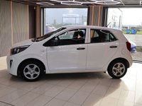 USED 2019 19 KIA PICANTO 1.0 1 Hatchback 5dr Petrol Manual Euro 6 (66 bhp) AWARD WINNING DEALERSHIP