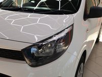USED 2019 19 KIA PICANTO 1.0 1 Hatchback 5dr Petrol Manual Euro 6 (66 bhp) AWARD WINNING DEALERSHIP