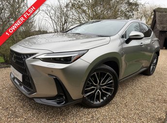 2024 LEXUS NX