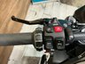 USED 2024 24 BMW M 1000 R   