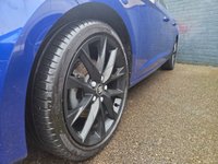 USED 2019 69 SEAT LEON 1.5 TSI EVO FR Black Edition Hatchback 5dr Petrol Manual Euro 6 (s/s) (130 ps) 