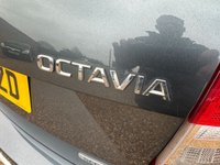 USED 2017 67 SKODA OCTAVIA 2.0 TDI Scout Estate 5dr Diesel DSG 4WD Euro 6 (s/s) (184 ps) 