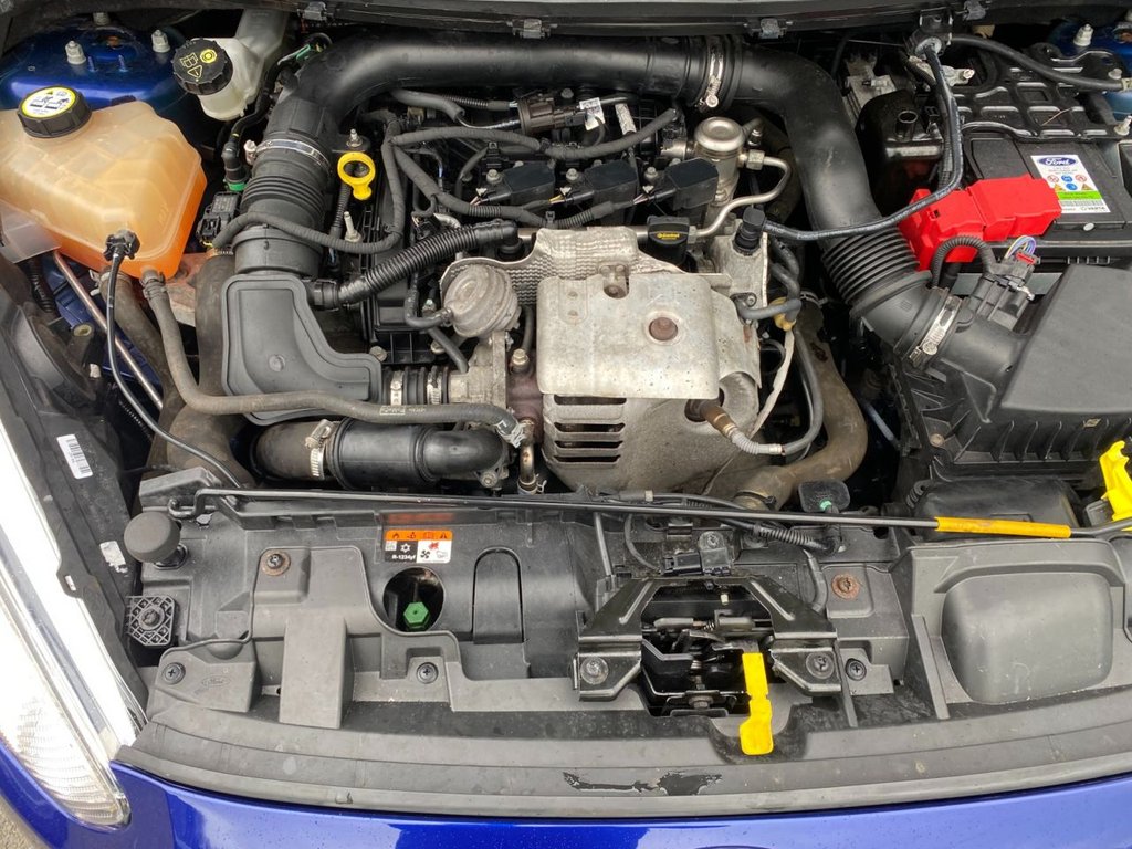 USED 2017 17 FORD FIESTA 1.0T EcoBoost ST-Line Hatchback 5dr Petrol Manual Euro 6 (s/s) (140 ps) BEST COLOUR