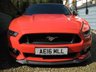 USED 2016 16 FORD MUSTANG 5.0 V8 GT Fastback 2dr Petrol Manual Euro 6 (416 bhp) Heated and cool seats. Shaker sound system. Reverse camera. Reverse sensors. Cruise control. Ambient lighting. DAB. USB. Bluetooth phone preparation. +++