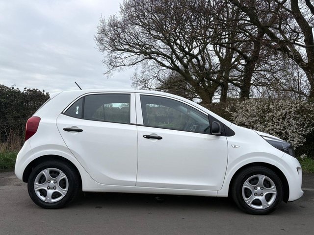 2023 KIA PICANTO - Photo 3