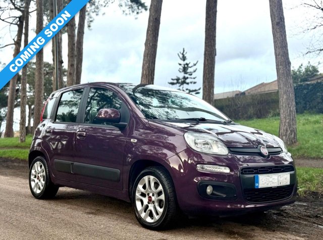 View our FIAT PANDA