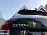 USED 2019 19 SKODA FABIA 1.0 TSI Monte Carlo Estate 5dr Petrol Manual Euro 6 (s/s) (95 ps) Apple Carplay & Android Auto, Rear Parking Sensors, Superb Service History, Part Leather Sports Seats, Auto Dimming Rearview Mirror, Voice Control