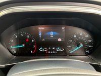 USED 2022 71 FORD FOCUS 1.0T EcoBoost MHEV Titanium Estate 5dr Petrol Hybrid DCT Euro 6 (s/s) (125 ps) 1 OWNER FROM NEW* SERVICE HISTORY* AUTOMATIC* SAT NAV* PARKING SENSORS* CRUISE CONTROL* ELECTRIC HANDBRAKE* LANE / SPEED ASSIST* ECO / SPORT MODE* AUTO START / STOP* TRACTION CONTROL