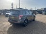 USED 2016 66 SUBARU FORESTER 2.0i XE Premium SUV 5dr Petrol Lineartronic 4WD Euro 6 (s/s) EyeSight (150 ps) Panroof, Nav, Camera, Leather