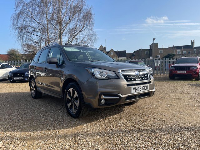 View our SUBARU FORESTER