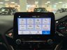 USED 2019 19 FORD FIESTA 1.0T EcoBoost GPF Active 1 Hatchback 5dr Petrol Manual Euro 6 (s/s) (100 ps) - DAB - APPLE CARPLAY!