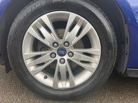 USED 2014 64 FORD FOCUS 1.6 Titanium Navigator Hatchback 5dr Petrol Powershift Euro 5 (125 ps) BLUETOOTH~DAB~A/C~CRUISE~PARK SENS