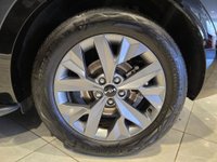 USED 2024 24 KIA SPORTAGE 1.6 h T-GDi GT-Line S SUV 5dr Petrol Hybrid Auto Euro 6 (s/s) (207 bhp) FULL LEATHER + NAVIGATION + AUTO