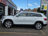 USED 2020 70 SKODA KODIAQ 2.0 TDI SE L SUV 5dr Diesel DSG 4WD Euro 6 (s/s) (7 Seat) (150 ps) 