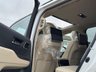 USED 2024 74 TOYOTA LAND CRUISER ZX 4X4 3.5L PETROL AUTO EXCELLENT CONDITION