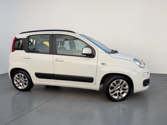 View our FIAT PANDA