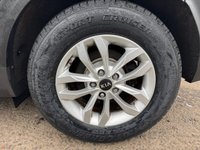 USED 2019 69 KIA SPORTAGE 1.6 CRDi EcoDynamics+ 1 SUV 5dr Diesel Hybrid Manual Euro 6 (s/s) (114 bhp) 