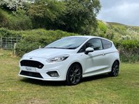 USED 2019 FORD FIESTA 1.0T EcoBoost GPF ST-Line X Hatchback 3dr Petrol Manual Euro 6 (s/s) (125 ps) Wet Belt Already Changed