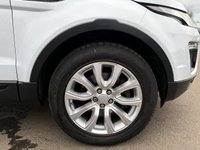 USED 2016 16 LAND ROVER RANGE ROVER EVOQUE 2.0 TD4 SE Tech SUV 5dr Diesel Auto 4WD Euro 6 (s/s) (180 ps) ANOTHER STUNNING ADDITION TO OUR HUGE SELECTION OF EVOQUES, FINISHED IN MASSIVELY POPULAR WHITE PAINT+DIESEL+AUTOMATIC+4 WHEEL DRIVE+JUST 1 FORMER KEEPER+SERVICE HISTORY+PRIVACY GLASS+FULL 2 TONE, BLACK AND CREAM LEATHER INTERIOR+SATELLITE NAVIGATION+CLIMATE CONTROL+18 INCH ALLOY WHEELS+1 FULL YEARS MOT PRIOR TO COLLECTION+FULL RANGE OF FINANCE OPTIONS AVAILABLE+CALL NOW TO SECURE A VIEWING!!!!!!!!!!!!!!!!!!!!!!!!!!!!!!!!!!!!