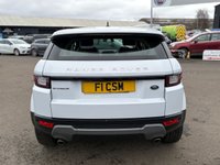 USED 2016 16 LAND ROVER RANGE ROVER EVOQUE 2.0 TD4 SE Tech SUV 5dr Diesel Auto 4WD Euro 6 (s/s) (180 ps) ANOTHER STUNNING ADDITION TO OUR HUGE SELECTION OF EVOQUES, FINISHED IN MASSIVELY POPULAR WHITE PAINT+DIESEL+AUTOMATIC+4 WHEEL DRIVE+JUST 1 FORMER KEEPER+SERVICE HISTORY+PRIVACY GLASS+FULL 2 TONE, BLACK AND CREAM LEATHER INTERIOR+SATELLITE NAVIGATION+CLIMATE CONTROL+18 INCH ALLOY WHEELS+1 FULL YEARS MOT PRIOR TO COLLECTION+FULL RANGE OF FINANCE OPTIONS AVAILABLE+CALL NOW TO SECURE A VIEWING!!!!!!!!!!!!!!!!!!!!!!!!!!!!!!!!!!!!