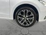 USED 2025 25 SEAT IBIZA 1.0 TSI XCELLENCE Hatchback 5dr Petrol DSG Euro 6 (s/s) (115 ps) 
