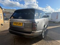 USED 2021 21 LAND ROVER RANGE ROVER 3.0 D300 MHEV Westminster SUV 5dr Diesel Auto 4WD Euro 6 (s/s) (300 ps) Stunning example great colour combination FDSH
