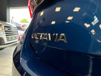 USED 2021 59 SKODA OCTAVIA 1.5 TSI ACT SE L Hatchback 5dr Petrol Manual Euro 6 (s/s) (150 ps) 
