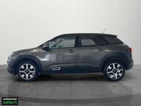USED 2018 68 CITROEN C4 CACTUS 1.5 BlueHDi Flair Hatchback 5dr Diesel Manual Euro 6 (s/s) (100 ps) 