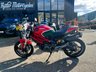 USED 2011 11 DUCATI MONSTER 696 - BUY ONLINE 24 HRS A DAY - FINANCE AVAILABLE - ALL TYPES OF CREDIT ACCEPTED WITH TERMIGNONI CARBON EXHAUSTS