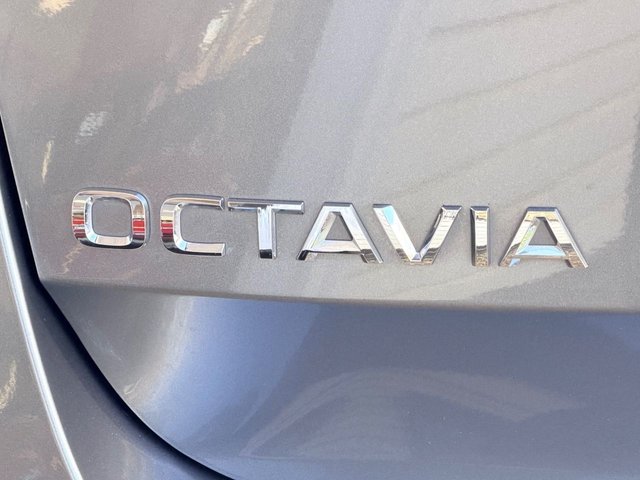 2023 SKODA OCTAVIA - Photo 9
