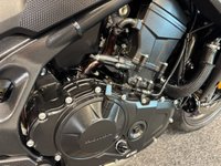 USED 2024 24 HONDA CB750 Hornet CB750 A-P HORNET QUICKSHIFTER + ARROW EXHAUST