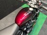 USED 2024 24 TRIUMPH SPEED TWIN 1200 FINANCE SPECIALISTS APPLY NOW LOW RATE FINANCE DELIVERY AVAILABLE