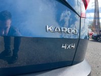 USED 2019 68 SKODA KAROQ 2.0 TDI SE SUV 5dr Diesel Manual 4WD Euro 6 (s/s) (150 ps) APPLE CAR PLAY | PARKING AID