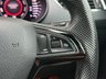 USED 2019 51 SKODA OCTAVIA 2.0 TSI GPF vRS Estate 5dr Petrol DSG Euro 6 (s/s) (245 ps) VRS PRIVATE PLATE