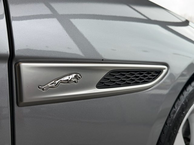 View our JAGUAR XF