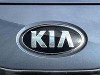 USED 2015 65 KIA CEED 1.6 CRDi 2 Hatchback 5dr Diesel DCT Euro 6 (s/s) (134 bhp) FRESH SERVICE 1 PRE OWNER