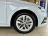 USED 2023 23 SKODA OCTAVIA 2.0 TDI SE L Hatchback 5dr Diesel DSG Euro 6 (s/s) (150 ps) 