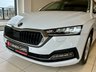USED 2023 23 SKODA OCTAVIA 2.0 TDI SE L Hatchback 5dr Diesel DSG Euro 6 (s/s) (150 ps) 