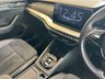 USED 2023 23 SKODA OCTAVIA 2.0 TDI SE L Hatchback 5dr Diesel DSG Euro 6 (s/s) (150 ps) 