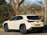 USED 2019 69 LEXUS UX 2.0 250h Takumi SUV 5dr Petrol Hybrid E-CVT Euro 6 (s/s) (184 ps) FULL MAIN DEALER SERVICE HISTORY