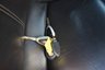 USED 2009 58 PORSCHE CAYMAN 3.4 987 S Coupe 2dr Petrol Manual (254 g/km, 295 bhp) 