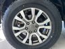 USED 2017 17 FORD RANGER 3.2 TDCi Wildtrak Pickup Double Cab 4dr Diesel Auto 4WD Euro 5 (200 ps) 