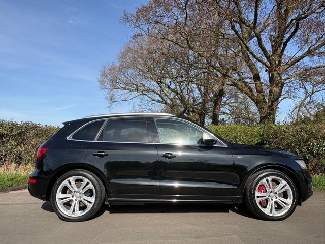 2015 AUDI SQ5 - Photo 5