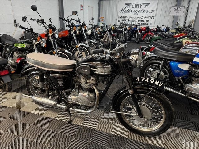 View our TRIUMPH TIGER