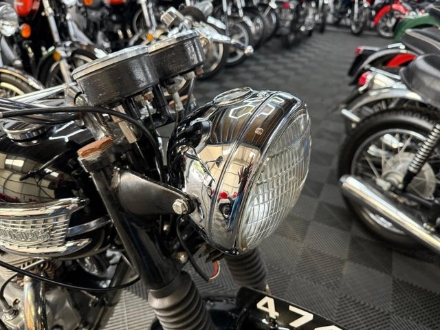 View our TRIUMPH TIGER