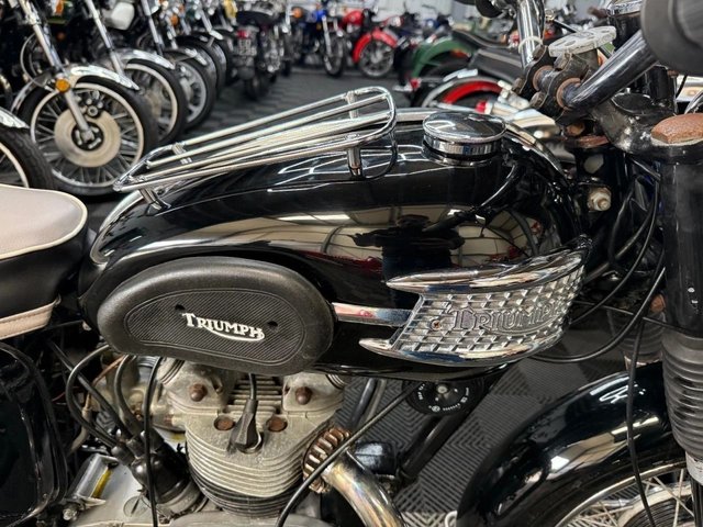View our TRIUMPH TIGER