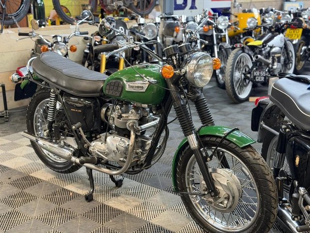 View our TRIUMPH TIGER