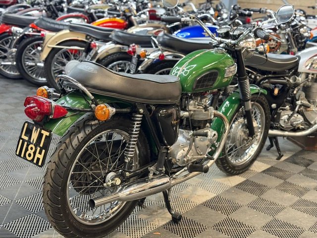 View our TRIUMPH TIGER
