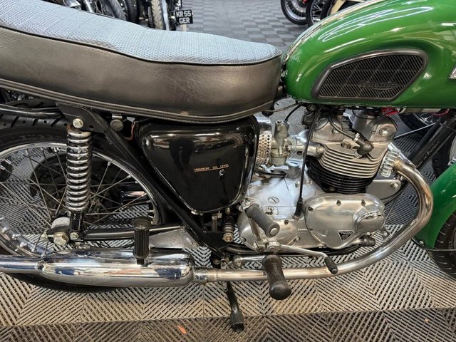 View our TRIUMPH TIGER