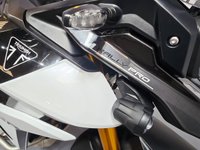 USED 2025 25 TRIUMPH TIGER 900 RALLY PRO - BUY ONLINE 24 HRS A DAY - FINANCE AVAILABLE - ALL TYPES OF CREDIT ACCEPTED WITH TRIUMPH OE ALUMINIUM PANNIERS